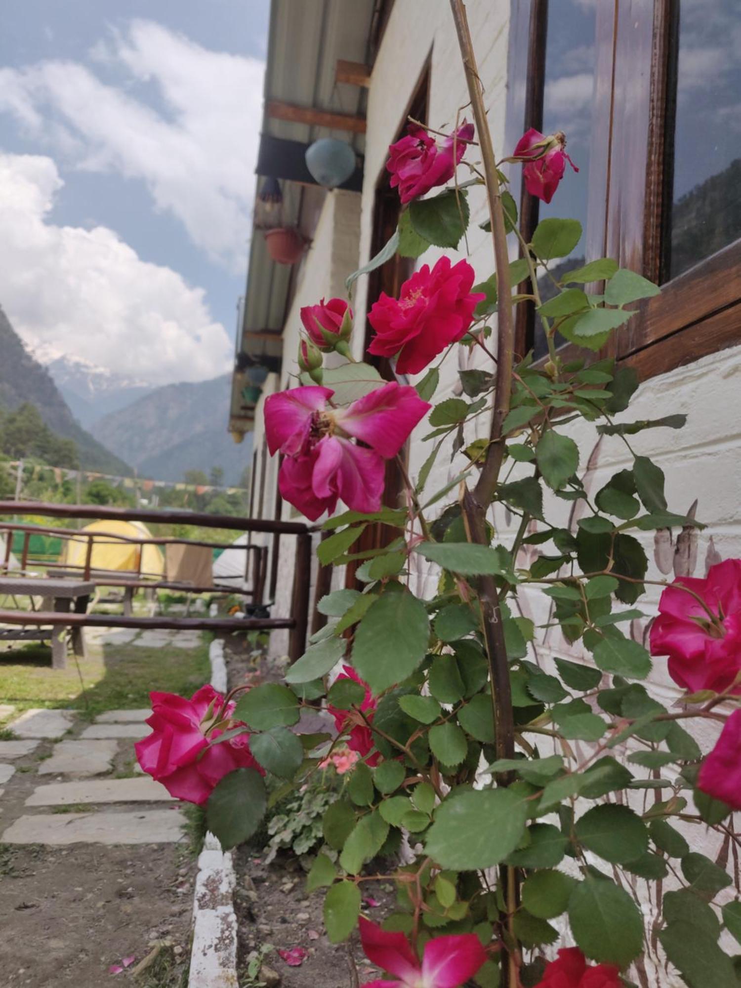 Lazy Monk Hostel, Kasol Zewnętrze zdjęcie